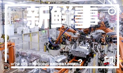 走進上汽大眾長沙工廠 車媒老鳥的圓夢之旅，探秘斯柯達泥地打樁機般完美品質